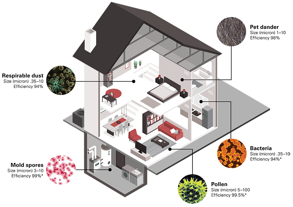 Indoor Air Quality